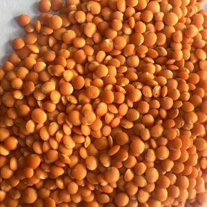 Lentils