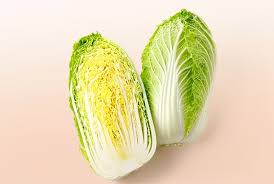 Napa Cabbage