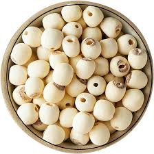 White lotus seed