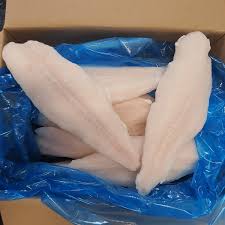 Frozen Pangasius Fillet