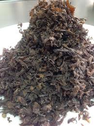 Dried Sargassum Seaweed