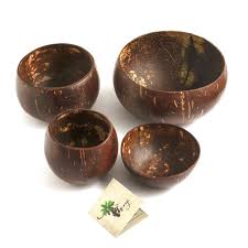 Coconut Shell Bowl