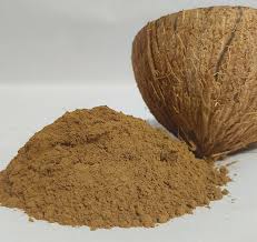 Coconut Shell Powder