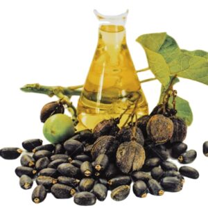 Jatropha Oil